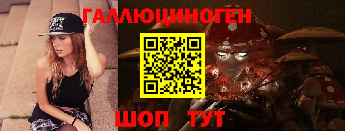 Канаш  Псилоцибиновые грибы MAGIC MUSHROOMS  Вход с VPN 